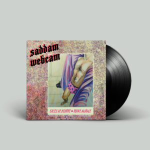 Saddam webcam vinyl mock up